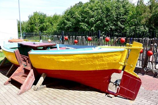 Smaczna Fladra